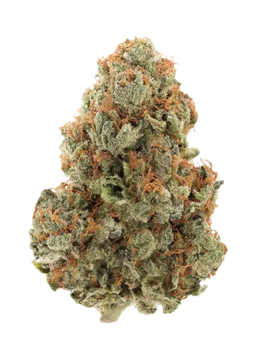 Peach Kush