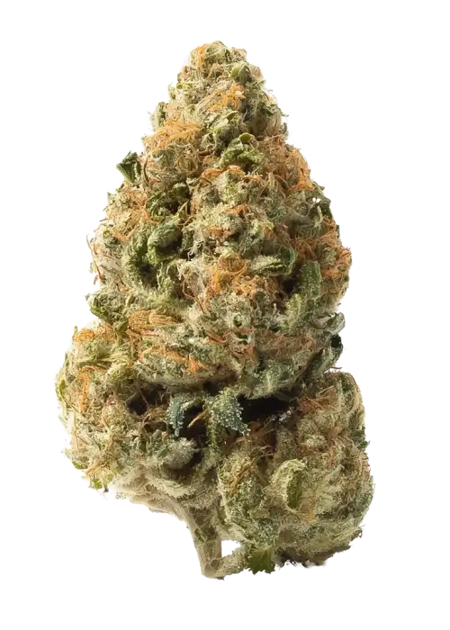 Gas Breath