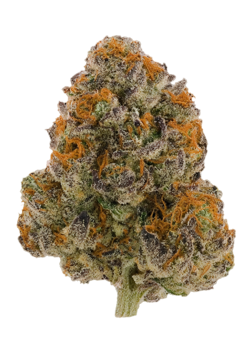 Purple Guava