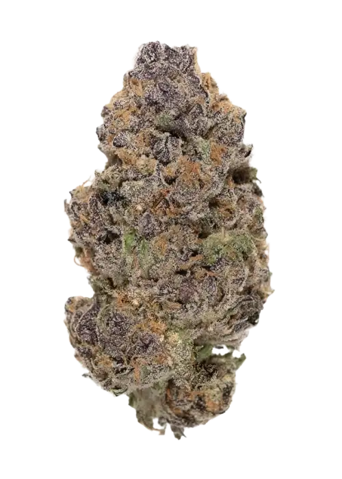 Moonbeam