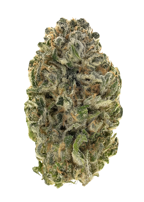 Dutchberry