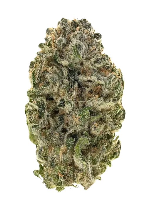 Dutchberry
