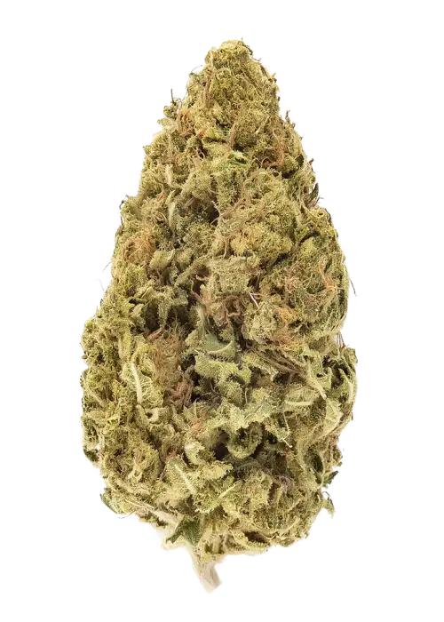 Ruthless OG