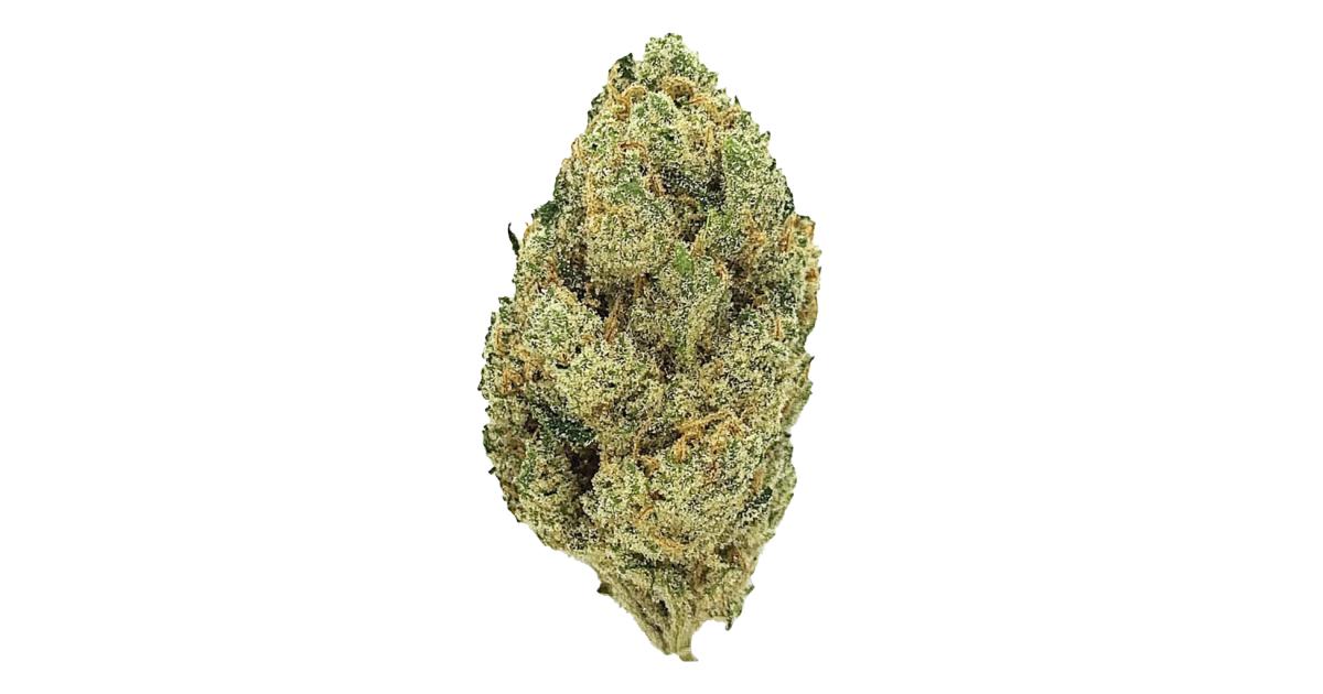 Buy Orange Crush premium flower 3.5g jar at BayFarmz. Sativa-dominant hybrid (80% sativa/20% indica) with zesty orange, citrus, sweet flavors. Energizing happy high. Nationwide delivery all 50 states.