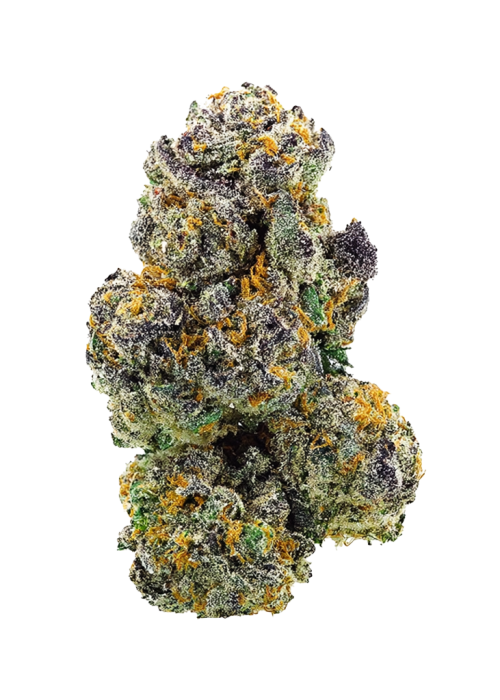 Pineapple Fields