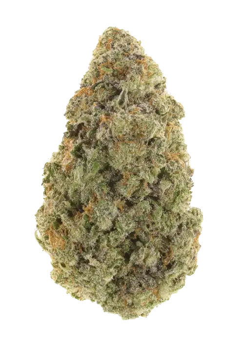 Pink Tuna
