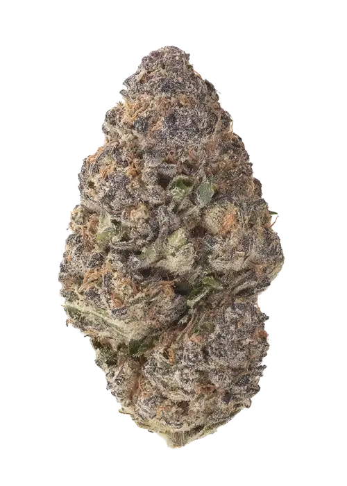 Ultimate Purple