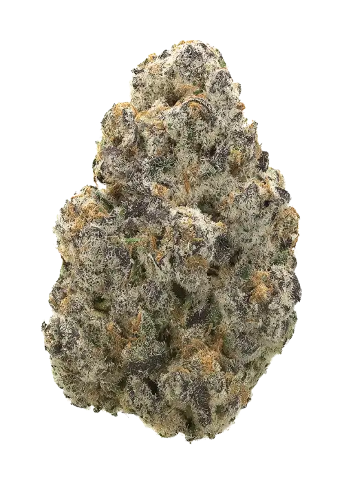 Monkey Mints