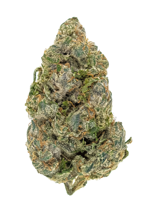 Space Guava