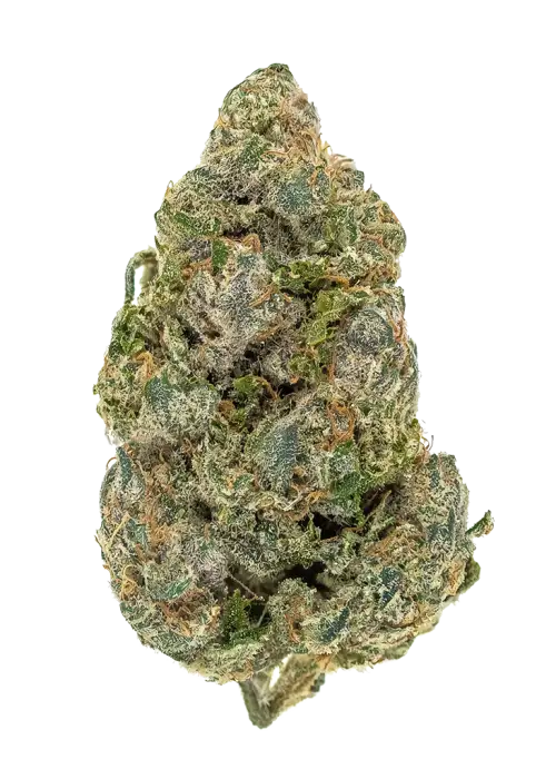 Space Guava