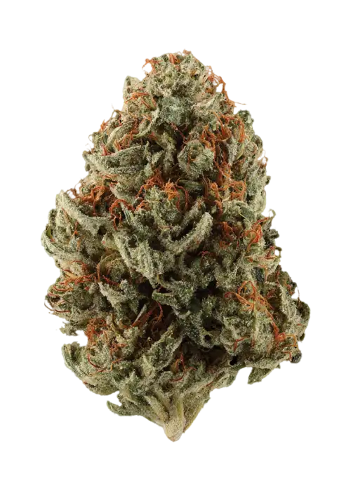 Grasshopper Glue