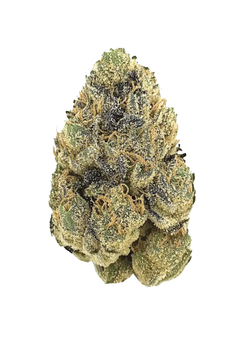 Key Lime Pie