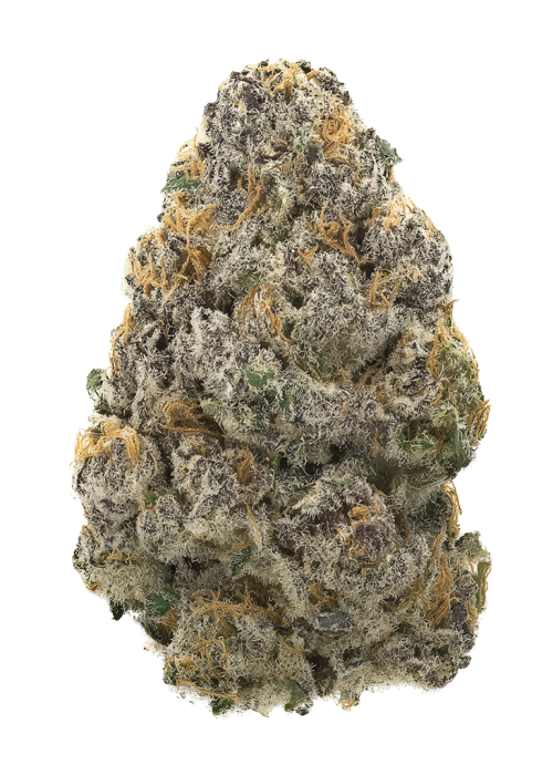 Astro Mints