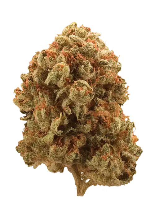 Sunshine Kush
