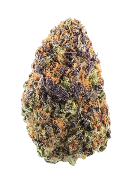Fruitopia