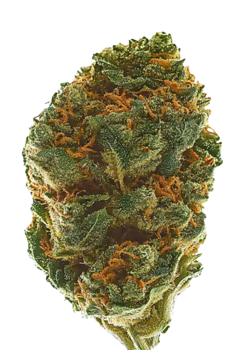 Green Crack