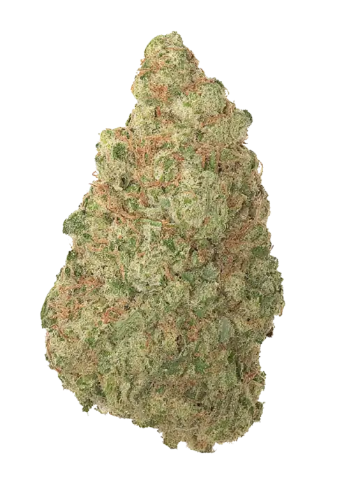 Green Crack