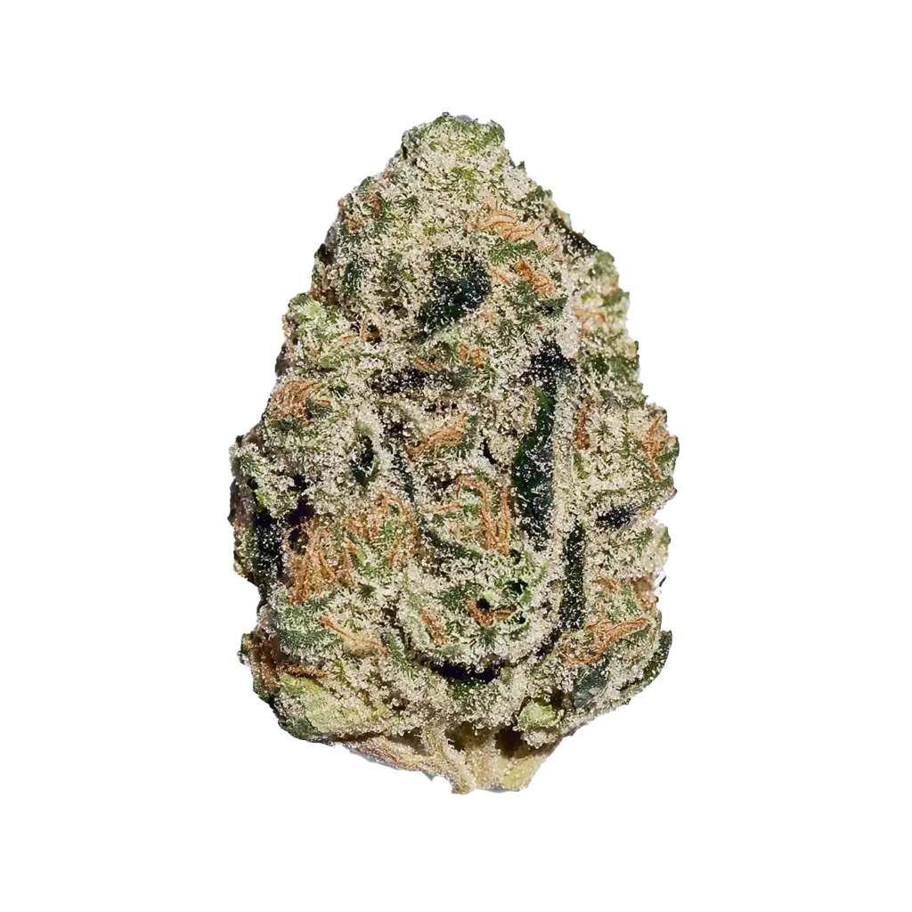 Jenny Kush Strain for sale