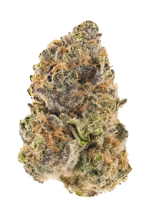 Lemon Fire MAC