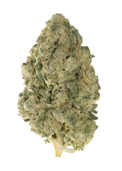 Platinum Candy