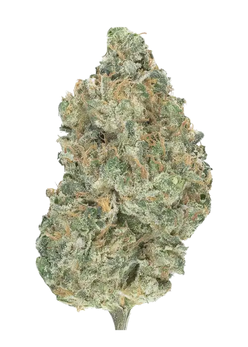 White Kush