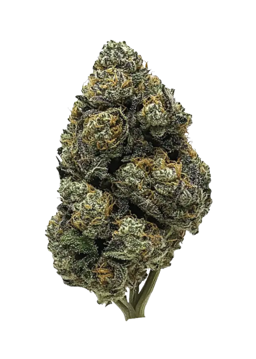 Black Cherry OG