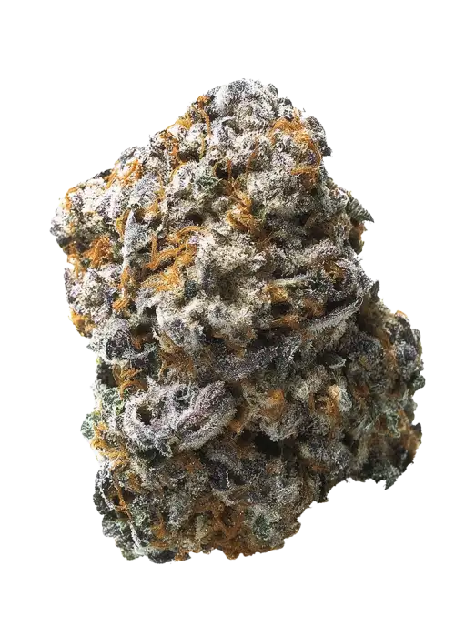 Watermelon Wonder