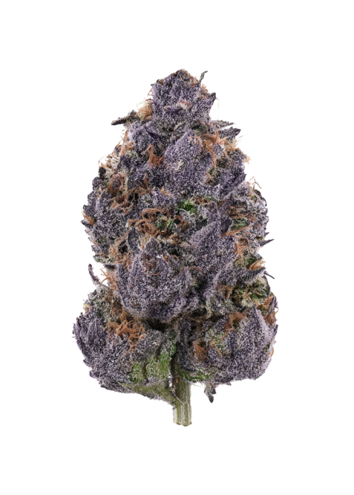 Purple Palm Tree Delight