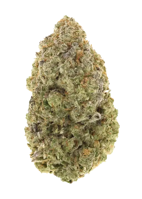 Green Queen
