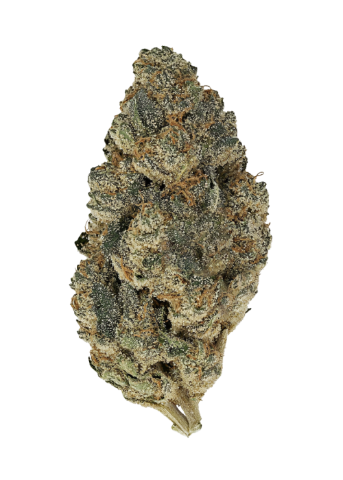 GMO Kush