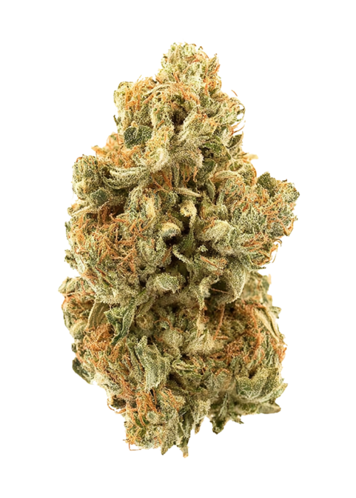 Passion Fruit