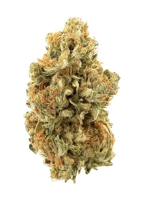Passion Fruit
