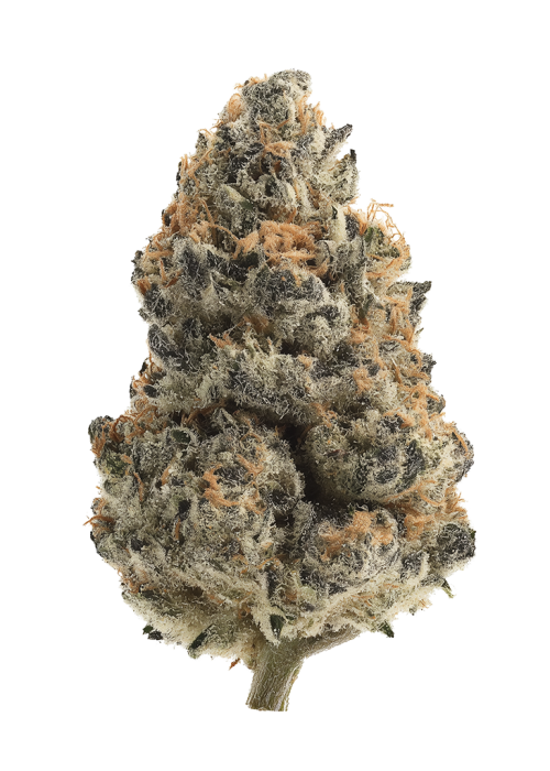 Banana Dream