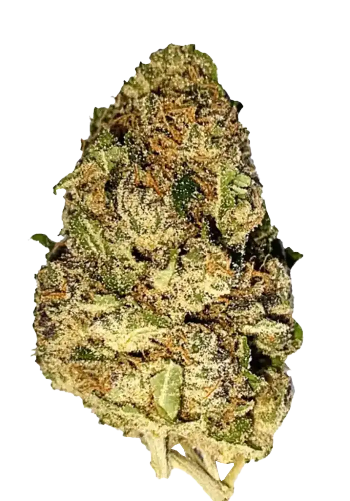 Purple Punch