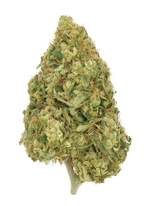 Maui Pineapple