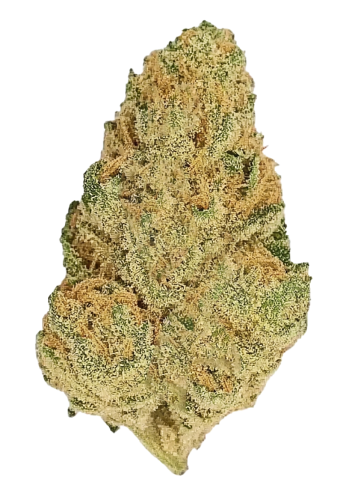 9 lb Hammer