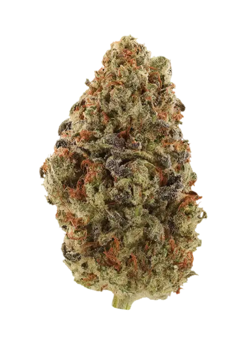 Sapphire Kush