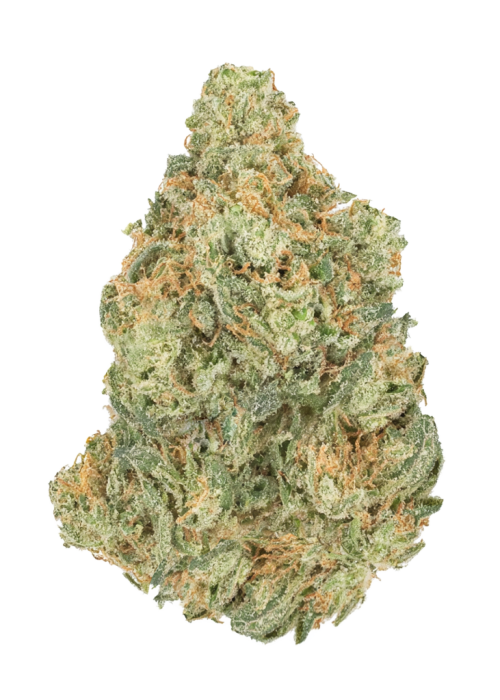 Hell Raiser OG