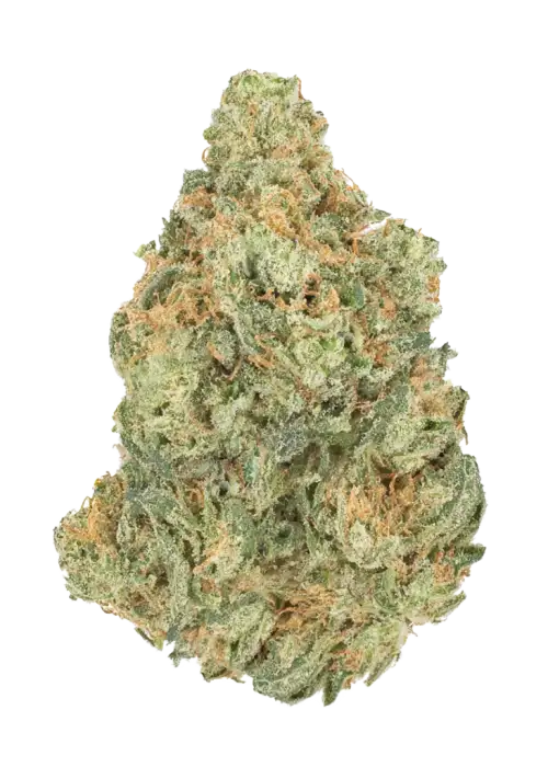 Hell Raiser OG