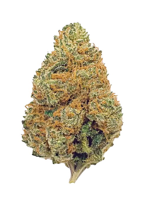 Fruit Punch