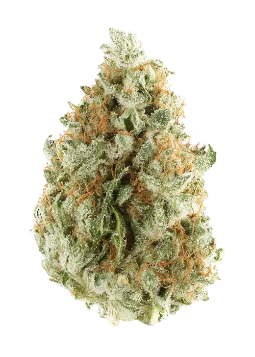 Ghost Cookies