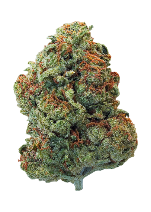 Witches Weed
