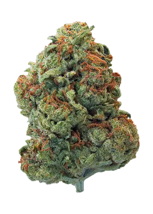 Witches Weed