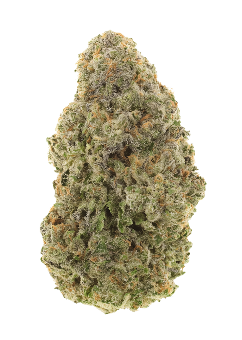 Silver Pearl