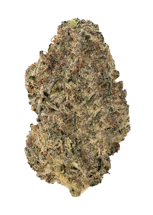Cherry Jane