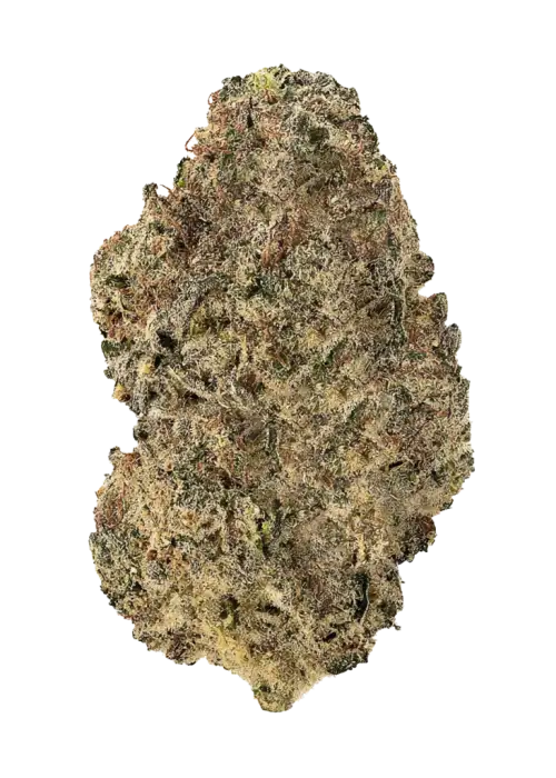 Cherry Jane