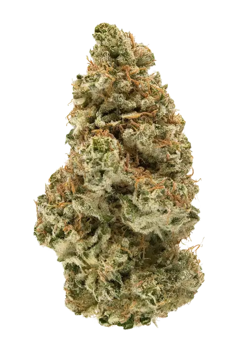 MAC 4