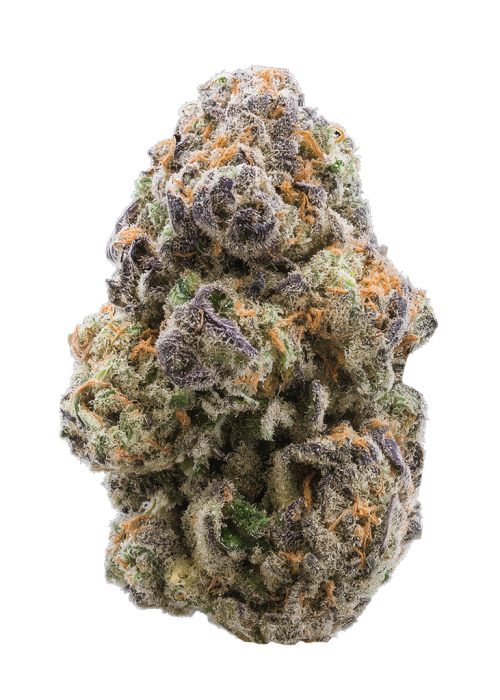 Grape LA