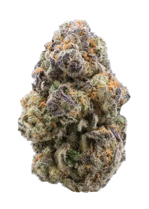 Grape LA