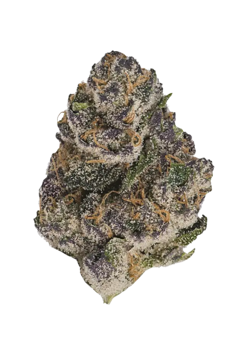 Sherbet Cake